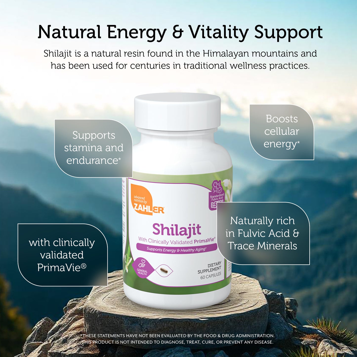 Shilajit Capsules