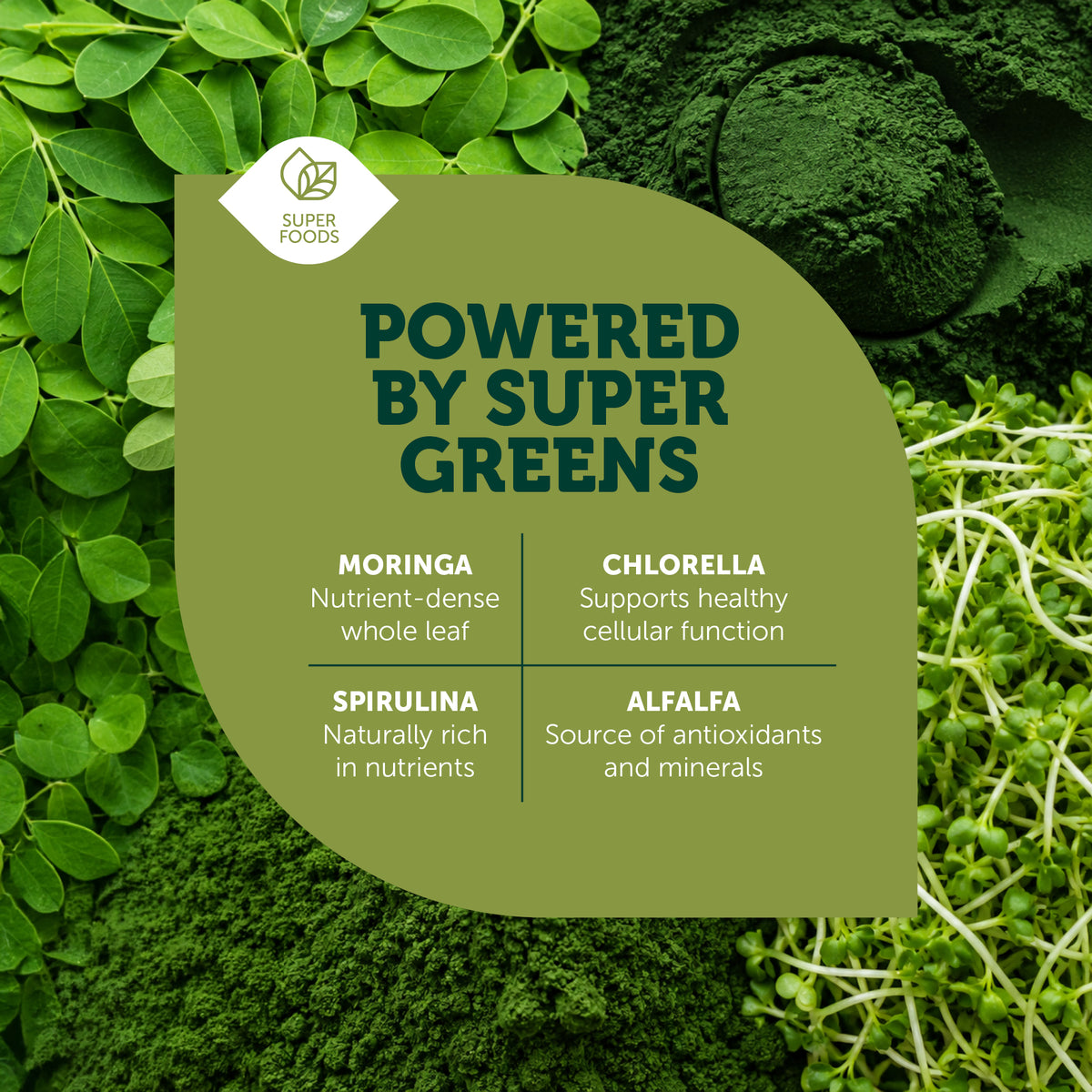 Core Greens Powder