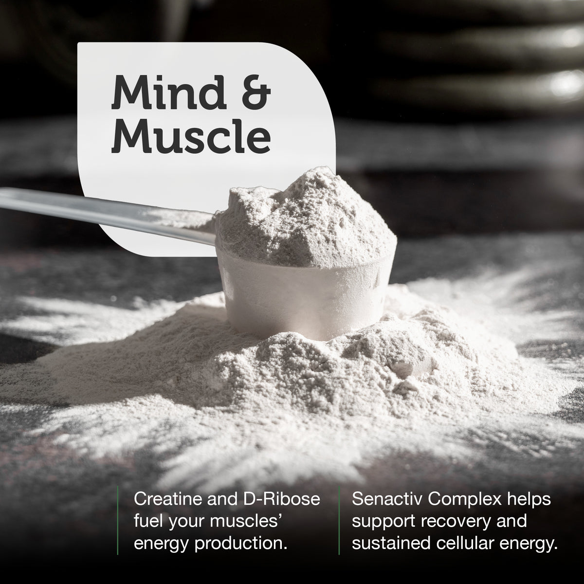 Creatine Powder
